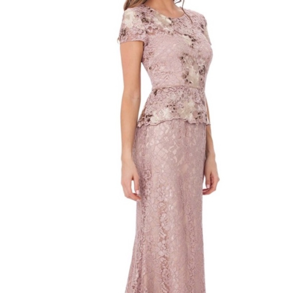 JS Collections Blush Color Lace Gown - Picture 3 of 16